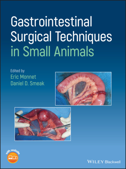 Группа авторов - Gastrointestinal Surgical Techniques in Small Animals