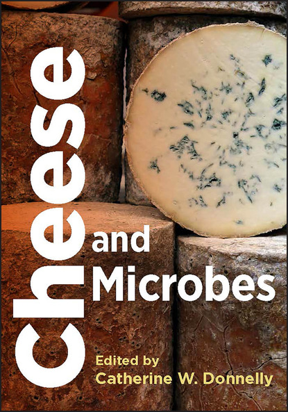 Группа авторов - Cheese and Microbes