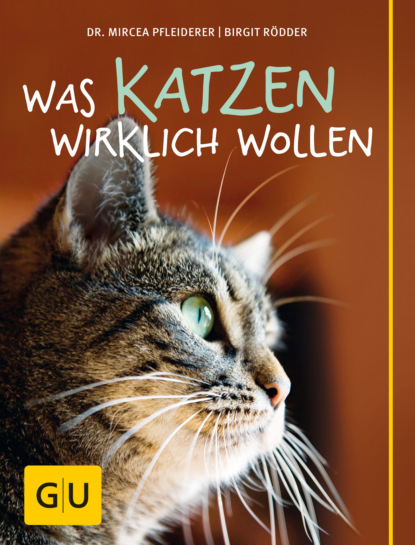 

Was Katzen wirklich wollen