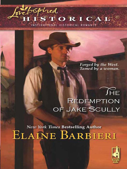 Elaine Barbieri - The Redemption Of Jake Scully
