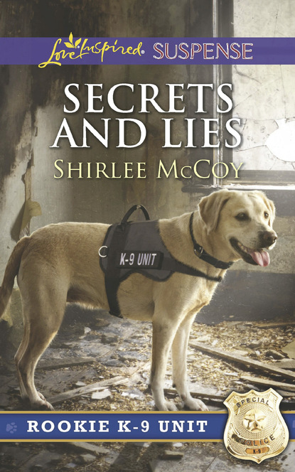 Shirlee McCoy - Secrets And Lies
