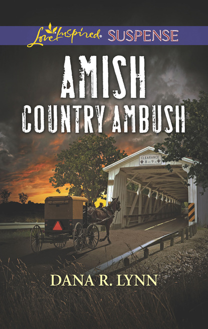 Dana R. Lynn - Amish Country Ambush