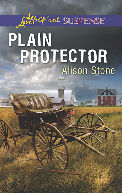 Alison  Stone - Plain Protector
