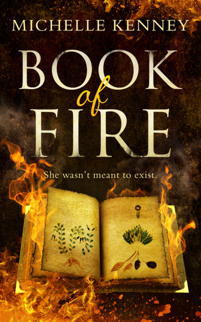 The Book of Fire series