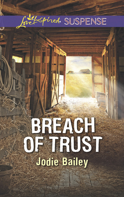 Jodie Bailey - Breach Of Trust