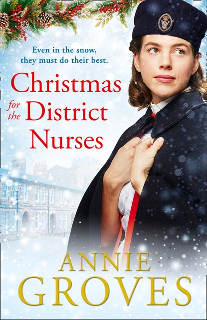 Обложка книги The District Nurse, Annie Groves