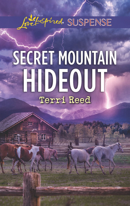 Terri Reed - Secret Mountain Hideout
