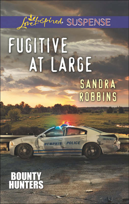 Sandra Robbins - Fugitive at Large