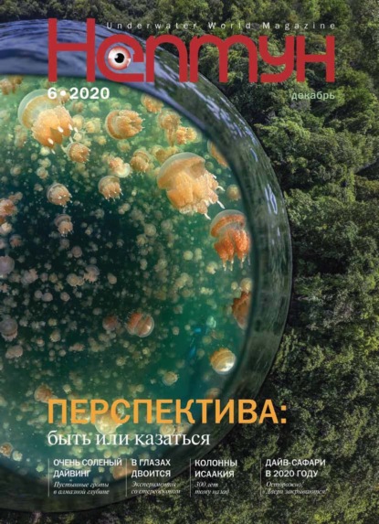Нептун №6/2020 - Группа авторов