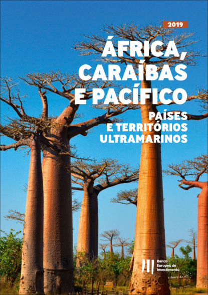 Atividades do BEI em África, nas Caraíbas e no Pacífico e nos países e territórios ultramarinos - Группа авторов