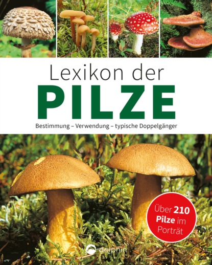 Hans W. Kothe - Lexikon der Pilze: Bestimmung, Verwendung, typische Doppelgänger