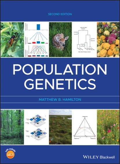 Обложка книги Population Genetics, Matthew B. Hamilton