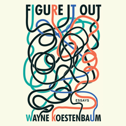 Wayne Koestenbaum - Figure it Out - Essays (Unabridged)