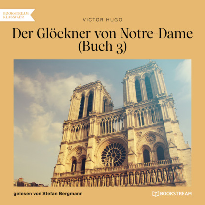 Victor Hugo - Der Glöckner von Notre-Dame, Buch 3 (Ungekürzt)