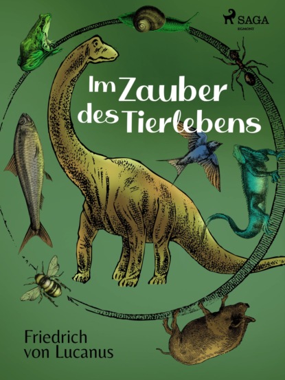 Im Zauber des Tierlebens