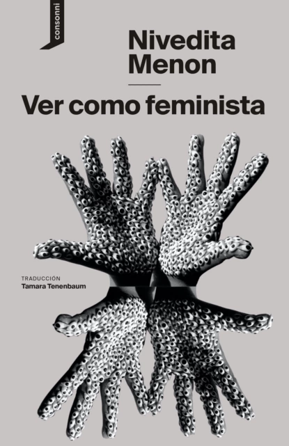 Обложка книги Ver como feminista, Nivedita Menon