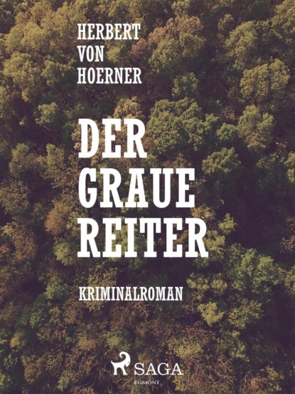 Der graue Reiter (Herbert von Hoerner). 