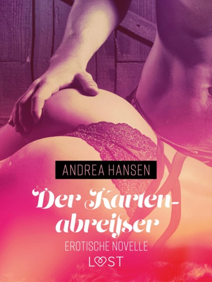 Andrea Hansen - Der Kartenabreißer - Erotische Novelle