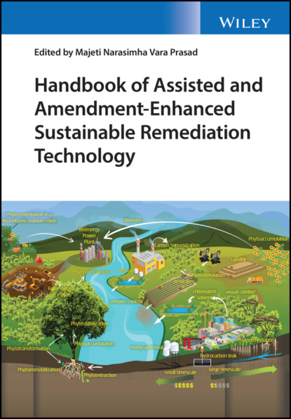 Группа авторов - Handbook of Assisted and Amendment-Enhanced Sustainable Remediation Technology