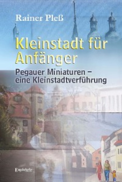 Rainer Pleß - Kleinstadt für Anfänger
