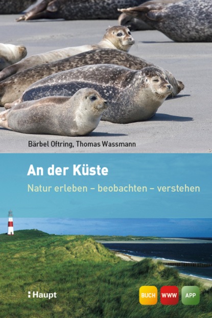 

An der Küste
