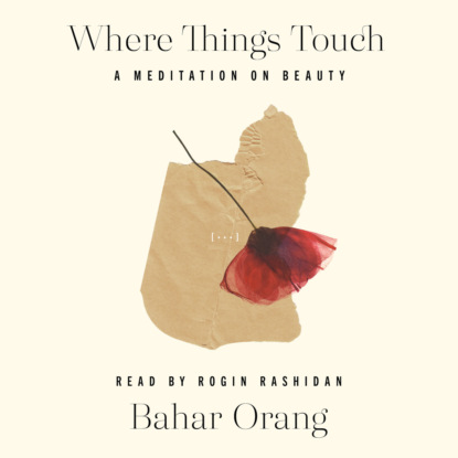 Where Things Touch - A Meditation on Beauty (Unabridged) (Bahar Orang). 