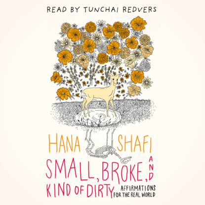 Small, Broke, and Kind of Dirty - Affirmations for the Real World (Unabridged) (Hana Shafi). 