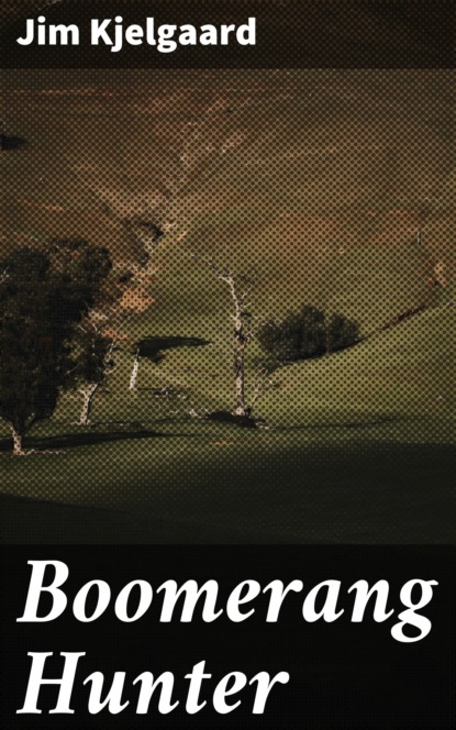 

Boomerang Hunter