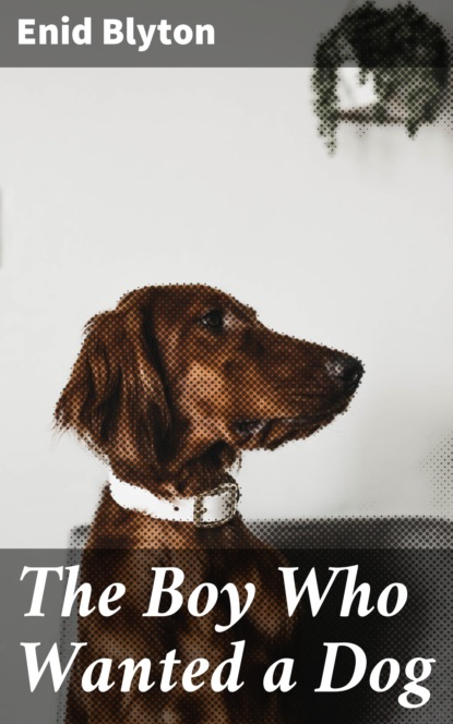 

The Boy Who Wanted a Dog