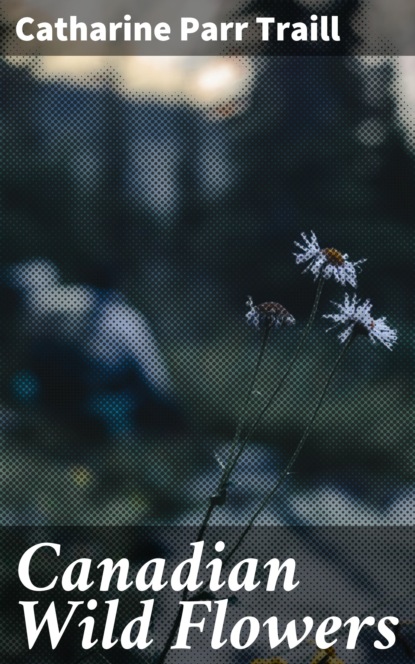 

Canadian Wild Flowers