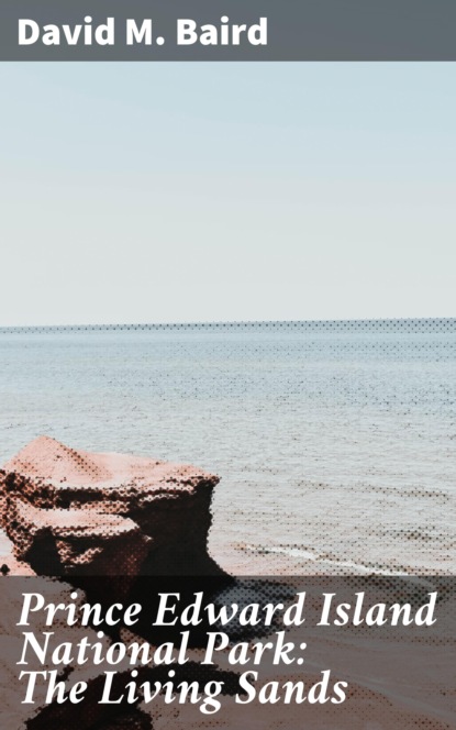 

Prince Edward Island National Park: The Living Sands