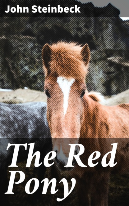 

The Red Pony