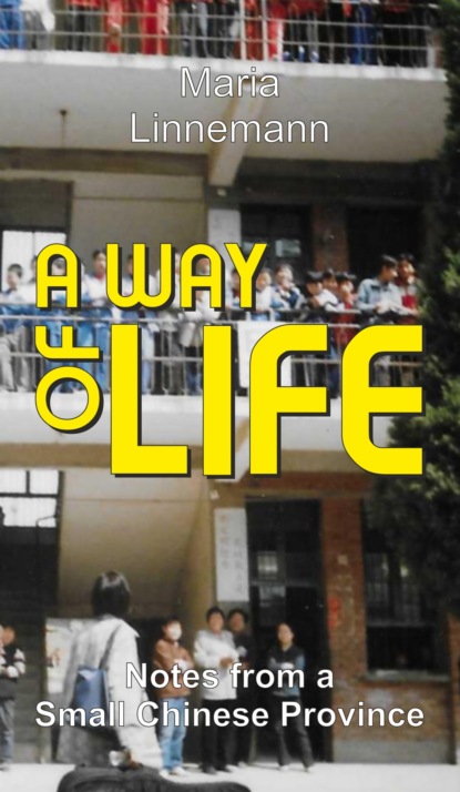 

A WAY OF LIFE - Notes from a Small Chinese Province