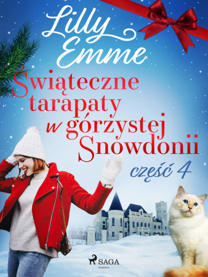 

Świąteczne tarapaty w górzystej Snowdonii - część 4