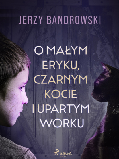 

O małym Eryku, czarnym kocie i upartym worku