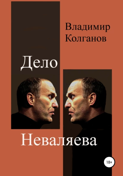 Обложка книги Дело Неваляева, Владимир Алексеевич Колганов