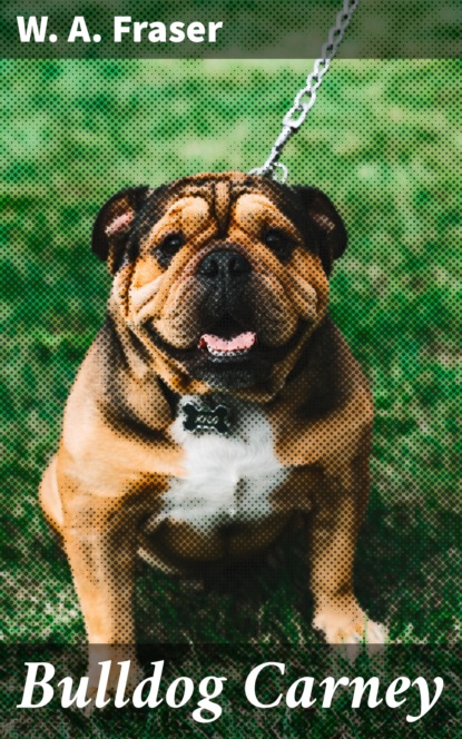 

Bulldog Carney