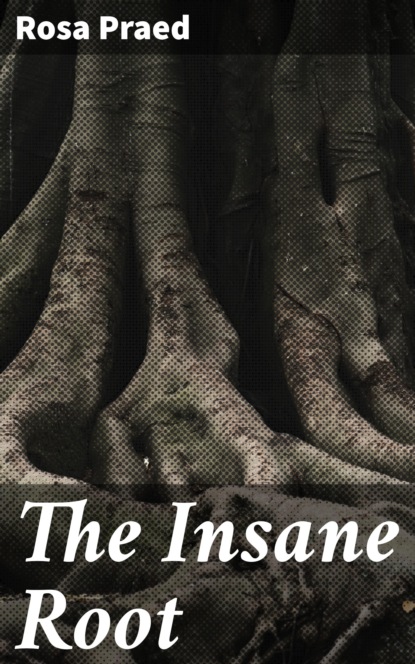 

The Insane Root