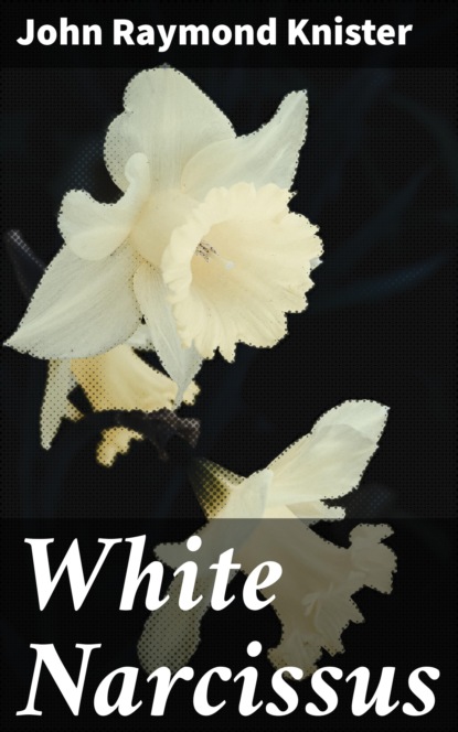 

White Narcissus