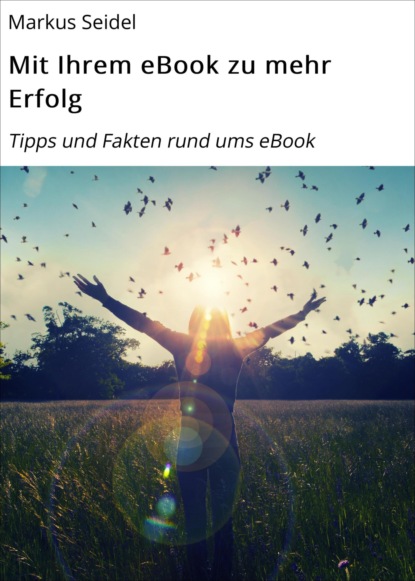 Mit Ihrem eBook zu mehr Erfolg (Markus Seidel). 