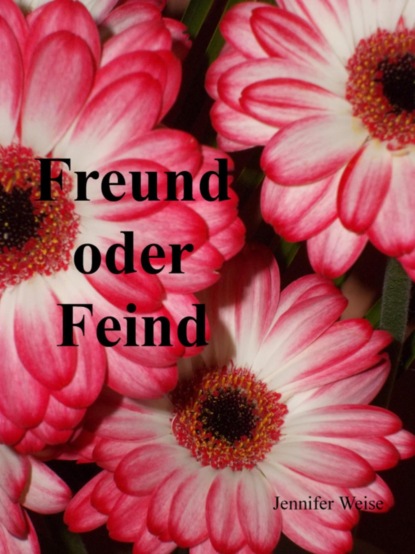 Freund oder Feind (Jennifer Weise). 