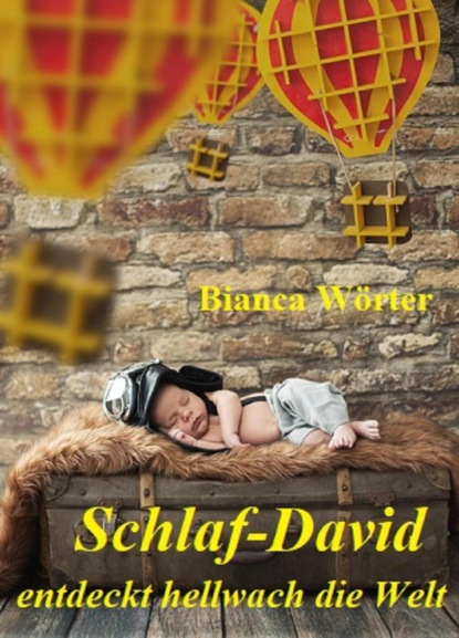 Schlaf-David entdeckt hellwach die Welt (Bianca Wörter). 