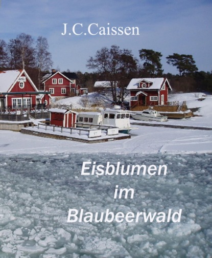 Eisblumen im Blaubeerwald