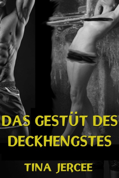 Das Gestüt des Deckhengstes (Tina Jercee). 