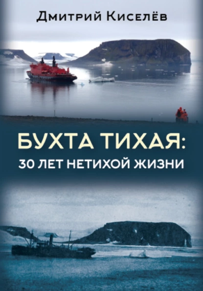 Обложка книги Бухта Тихая. 30 лет нетихой жизни, Дмитрий Киселёв