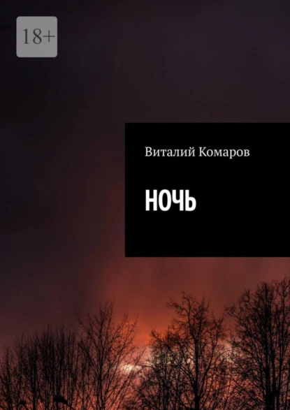 Обложка книги НОЧЬ, Виталий Комаров