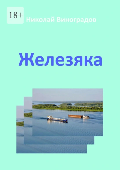 Обложка книги Железяка, Николай Виноградов