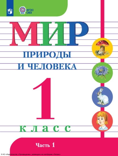 Обложка книги Мир природы и человека. 1 класс. Часть 1, Н. Б. Матвеева