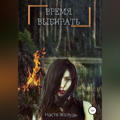 Аудиокнига Настя Жолудь - Время выбирать