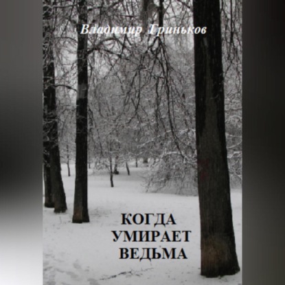 Аудиокнига Владимир Васильевич Гриньков - Когда умирает ведьма